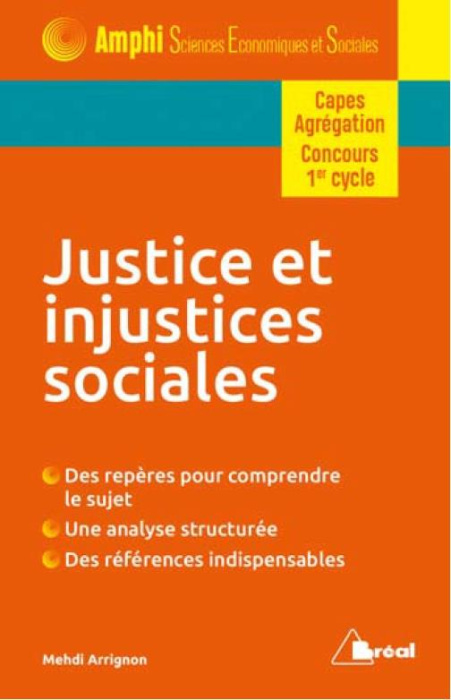 Emprunter Justice et injustices sociales. Modèles de justice, opinions et politiques publiques livre