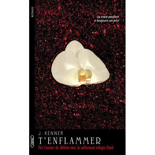 Emprunter Te désirer Tome 2 : T'enflammer livre