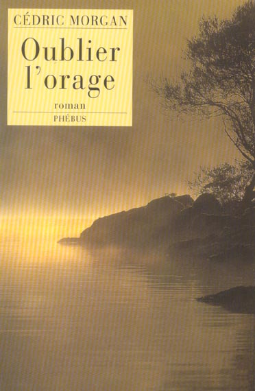 Emprunter Oublier l'orage livre