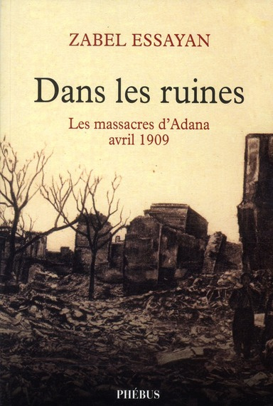 Emprunter Dans les ruines. Les massacres d'Adana, avril 1909 livre