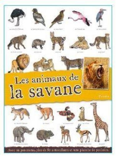 Emprunter Les animaux de la savane. Avec un panorama, plus de 80 autocollants et une planche de pochoirs livre