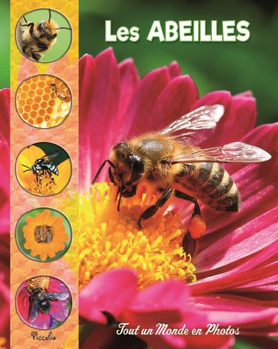 Emprunter Les abeilles livre