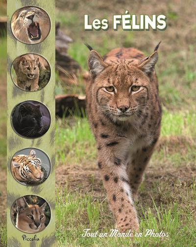 Emprunter Les félins livre