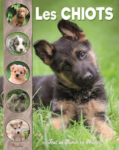 Emprunter Les chiots livre