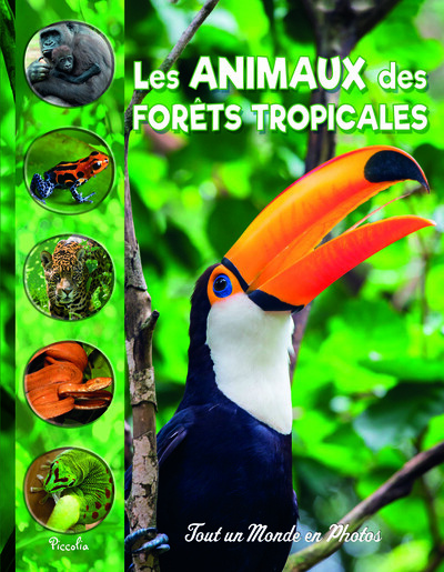 Emprunter Les animaux des forêts tropicales livre