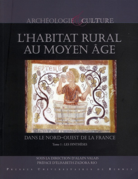 Emprunter L'habitat rural au Moyen Age dans le Nord-Ouest de la France (Deux-Sèvres, Ille-et-Vilaine, Loire-At livre