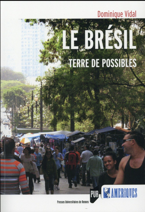 Emprunter Le Brésil. Terre de possibles livre