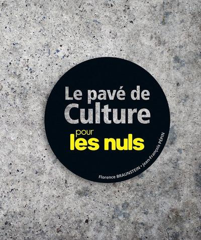 Emprunter Le pavé de culture pour les nuls livre