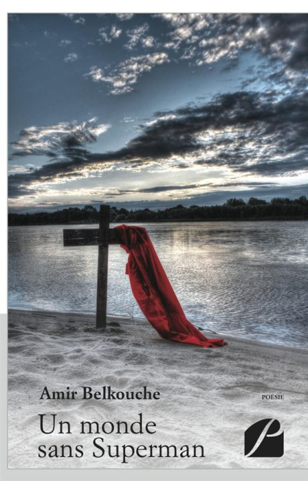 Emprunter UN MONDE SANS SUPERMAN livre
