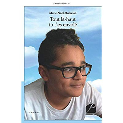 Emprunter Tout là-haut tu t'es envolé livre