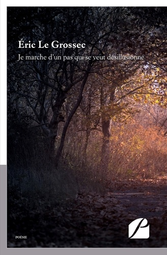 Emprunter Je marche d'un pas qui se veut désillusionné livre