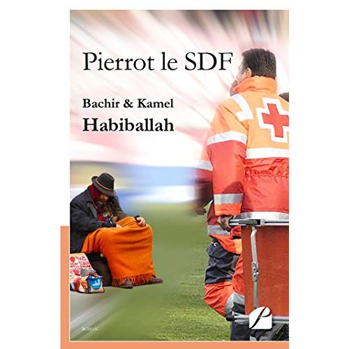 Emprunter Pierrot le SDF livre