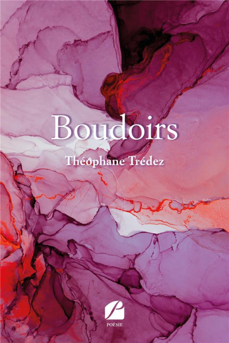 Emprunter Boudoirs livre
