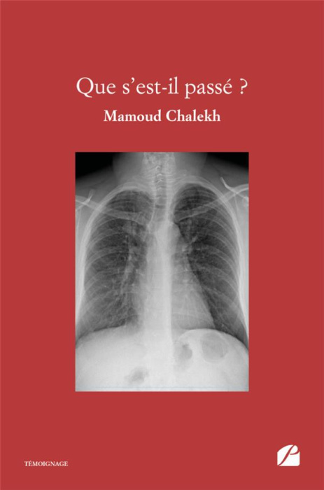 Emprunter Que s'est-il passé ? livre