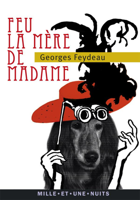 Emprunter Feu la mère de Madame livre