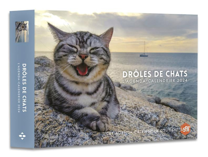 Emprunter L'agenda-calendrier Drôles de chats. Edition 2024 livre