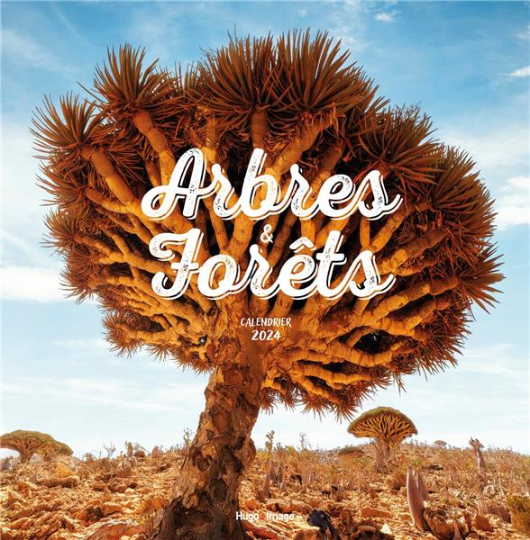 Emprunter Calendrier mural Arbres et forêts livre