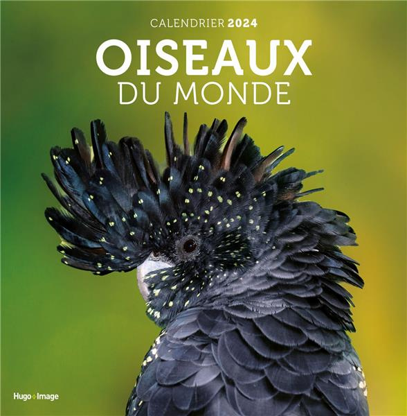 Emprunter Calendrier mural Oiseaux du monde. Edition 2024 livre