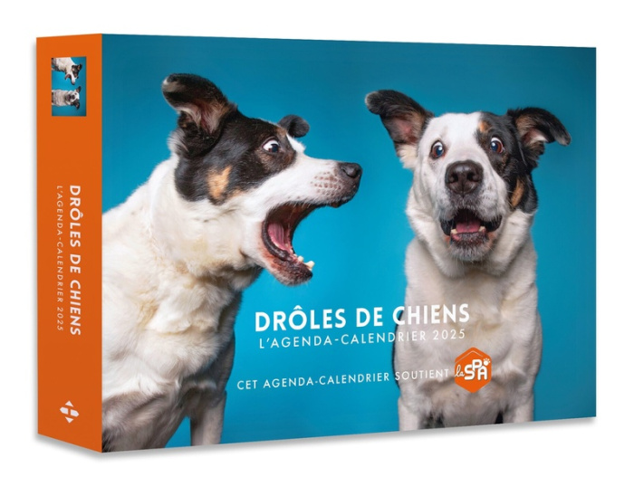 Emprunter L'agenda-calendrier Drôles de chiens. Edition 2025 livre