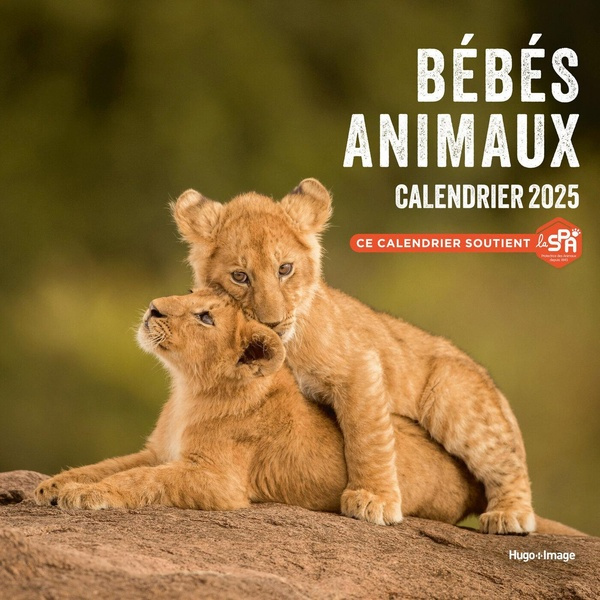 Emprunter Calendrier mural Bébés animaux. Edition 2025 livre
