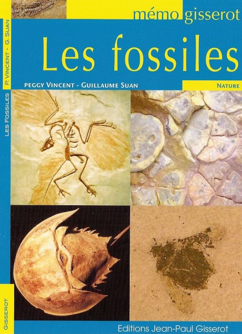Emprunter Les fossiles livre