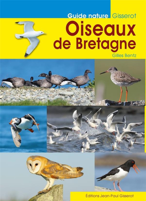 Emprunter Oiseaux de Bretagne livre