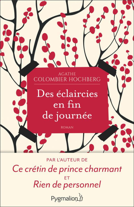 Emprunter Des éclaircies en fin de journée livre