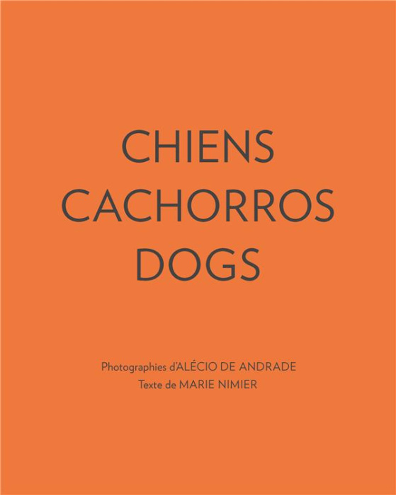 Emprunter Chiens cachorros dogs livre