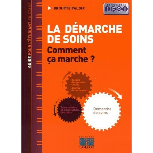 Emprunter La démarche de soins - Comment ça marche ? livre