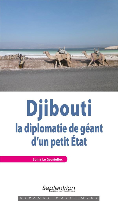 Emprunter Djibouti : la diplomatie de géant d'un petit Etat livre