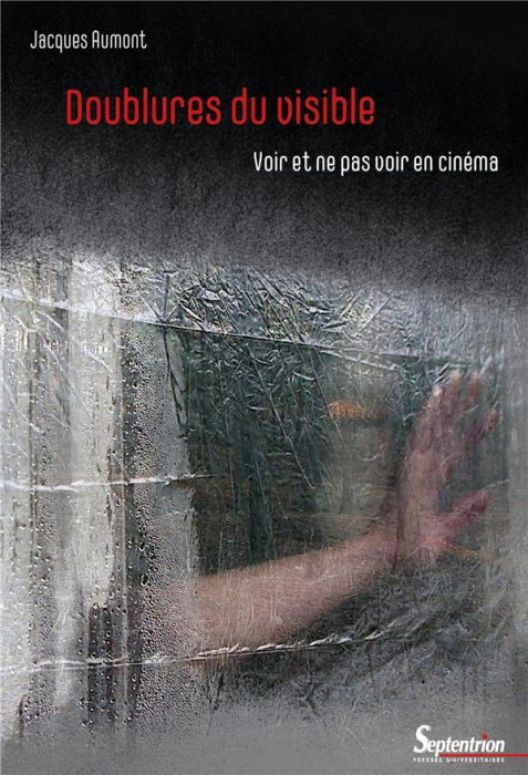 Emprunter Doublures du visible. Voir et ne pas voir en cinéma livre
