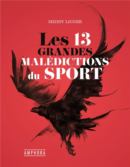 Emprunter Les 13 grandes malédictions du sport livre