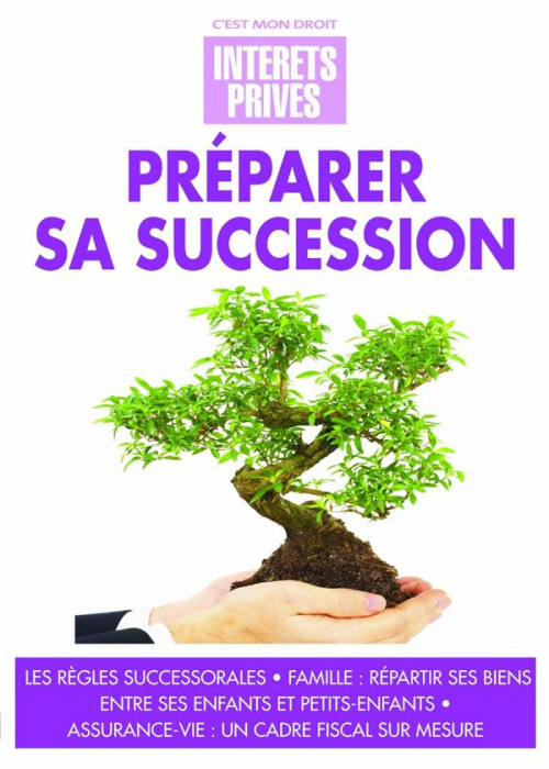Emprunter PREPARER SA SUCCESSION LES REGLES SUCCESSORALES FAMILLE REPARTIR SES BIENS ENTRE SES ENFANTS ET P livre