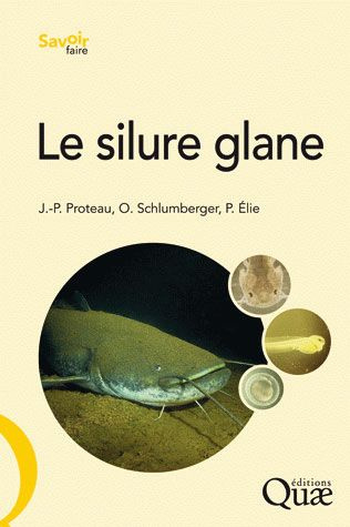 Emprunter LE SILURE GLANE. BIOLOGIE, ECOLOGIE, ELEVAGE livre