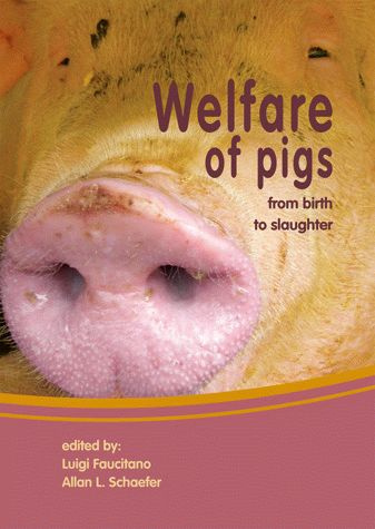 Emprunter WELFARE OF PIGS, FROM BIRTH TO SLAUGHTER livre