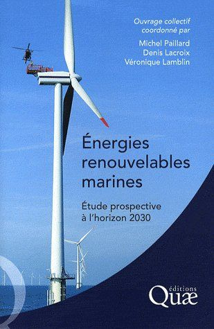 Emprunter ENERGIES RENOUVELABLES MARINES. ETUDE PROSPECTIVE A L'HORIZON 2030 livre