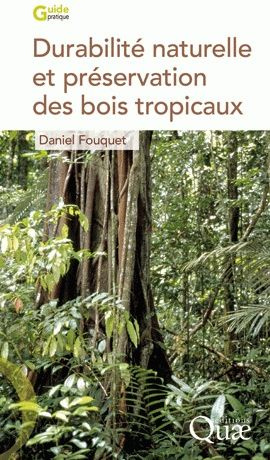 Emprunter DURABILITE NATURELLE ET PRESERVATION DES BOIS TROPICAUX livre