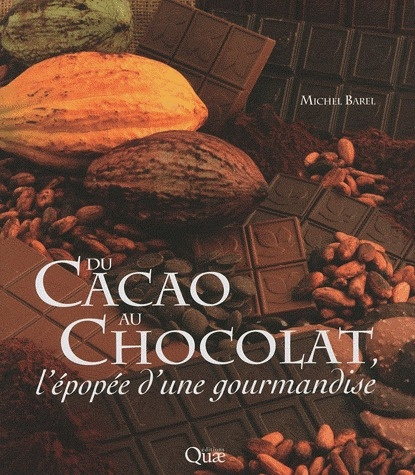 Emprunter DU CACAO AU CHOCOLAT - L'EPOPEE D'UNE GOURMANDISE livre