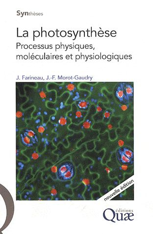 Emprunter LA PHOTOSYNTHESE. PROCESSUS PHYSIQUES, MOLECULAIRES ET PHYSIOLOGIQUES livre