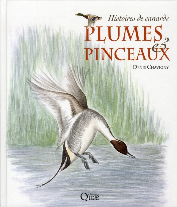 Emprunter PLUMES ET PINCEAUX. HISTOIRES DE CANARDS livre