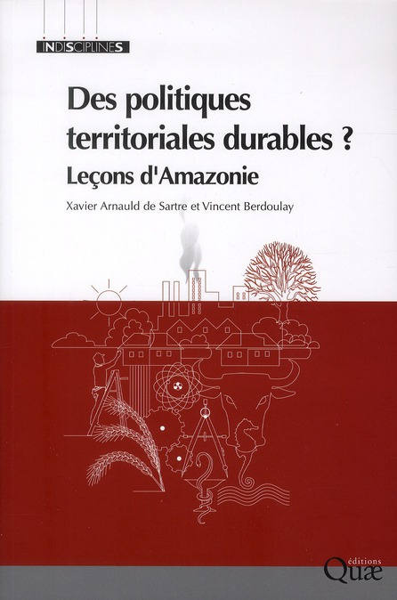 Emprunter DES POLITIQUES TERRITORIALES DURABLES ? LECONS D'AMAZONIE livre
