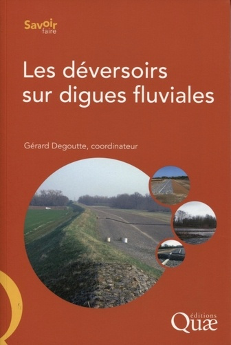 Emprunter LES DEVERSOIRS SUR DIGUES FLUVIALES livre