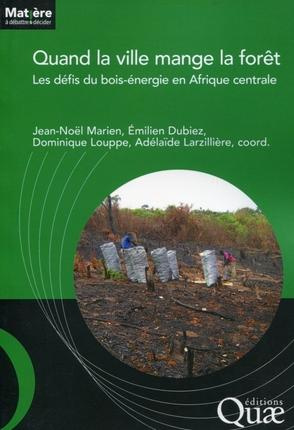 Emprunter QUAND LA VILLE MANGE LA FORET. LES DEFIS DU BOIS-ENERGIE EN AFRIQUE CENTRALE livre