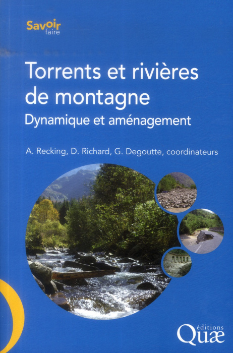 Emprunter TORRENTS ET RIVIERES DE MONTAGNE. DYNAMIQUE ET AMENAGEMENT livre
