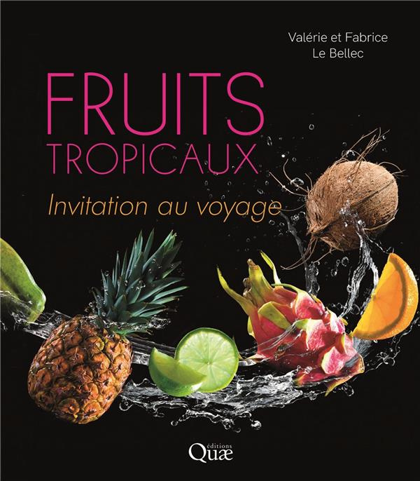 Emprunter Fruits tropicaux invitation au voyage livre