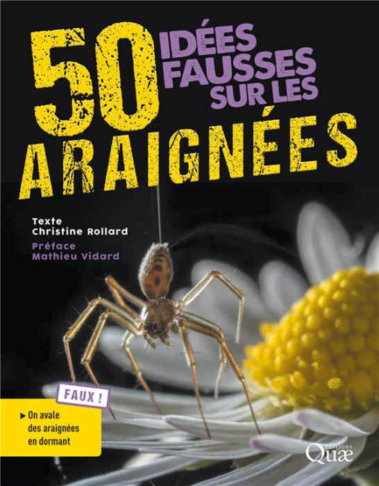 Emprunter 50 idées fausses sur les araignées livre