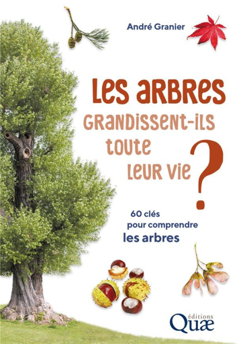 Emprunter Les arbres grandissent ils toute leur vie ? livre