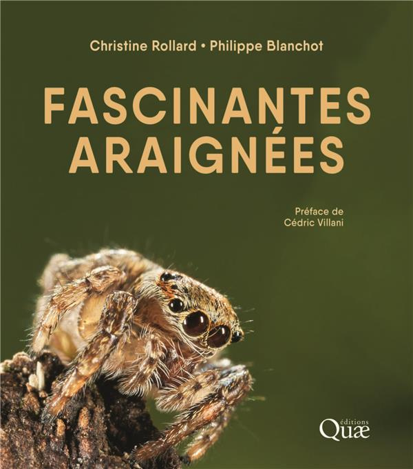 Emprunter Fascinantes araignées livre