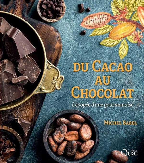 Emprunter Du cacao au chocolat - L'épopée d'une gourmandise livre