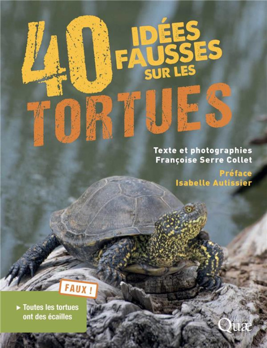 Emprunter 40 idées fausses sur les tortues livre